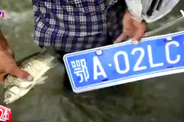 Nghề vớt biển số xe mùa mưa lũ tại Trung Quốc