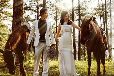 Bộ ảnh cưới tựa cổ tích trong rừng thông Đà Lạt