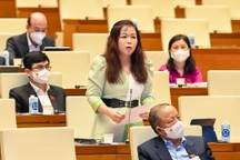 Hạ giá xăng bằng giảm thuế BVMT, đại biểu Quốc hội chỉ ra điều bất hợp lý