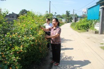 Hòa Bình: Đời sống người dân đổi thay nhờ xây dựng nông thôn mới