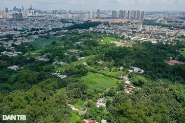 TPHCM ngăn chặn "bán lúa non"