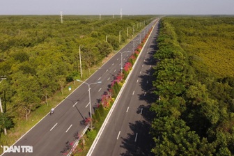 TPHCM thống nhất chủ trương đầu tư đường sắt Bến Thành - Cần Giờ