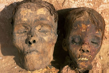 Xác ướp 4.000 tuổi cho thấy dấu hiệu sớm của bệnh tim