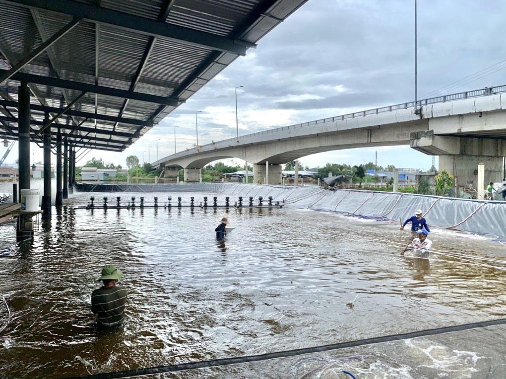 Thiện Nhà Tôm kinh doanh ổn định nhờ chuyển đổi số - 2 Thiện Nhà Tôm kinh doanh ổn định nhờ chuyển đổi số - 2