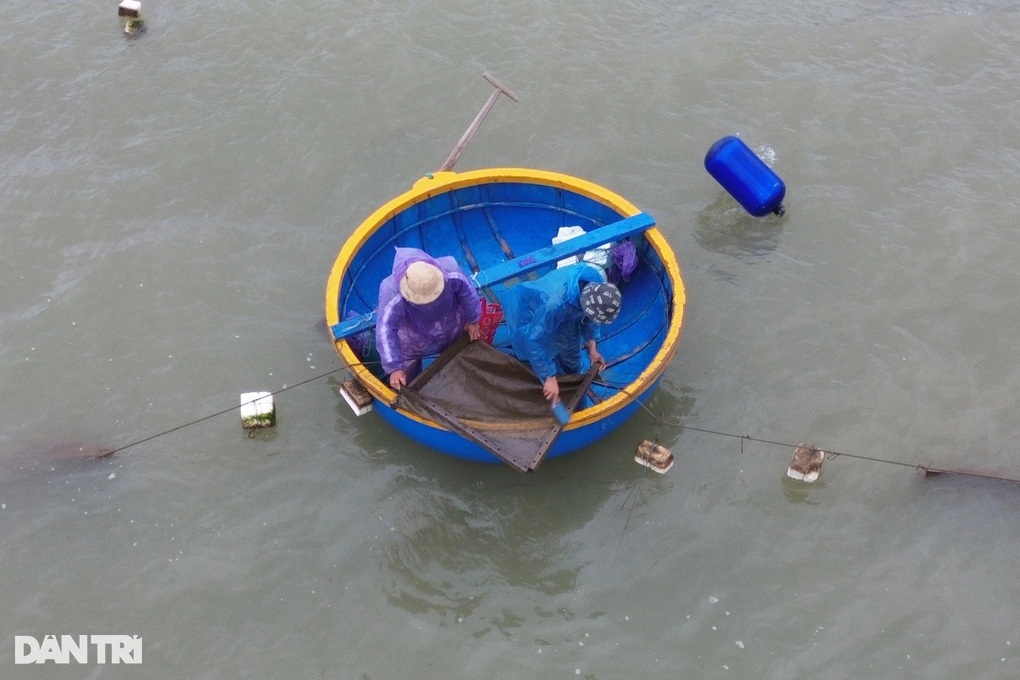 Bắt loại tôm trong suốt, nhỏ xíu, kiếm đến 20 triệu đồng trong một ngày - 2 Bắt loại tôm trong suốt, nhỏ xíu, kiếm đến 20 triệu đồng trong một ngày - 2