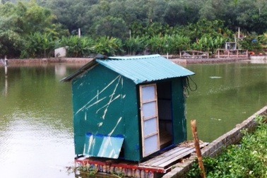 Một quân nhân bị sóng biển cuốn trôi