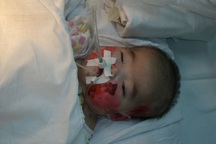 Tiễn biệt con Nhân Ái