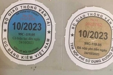 Nam thanh niên lên mạng mua giấy đăng kiểm xe giả về sử dụng