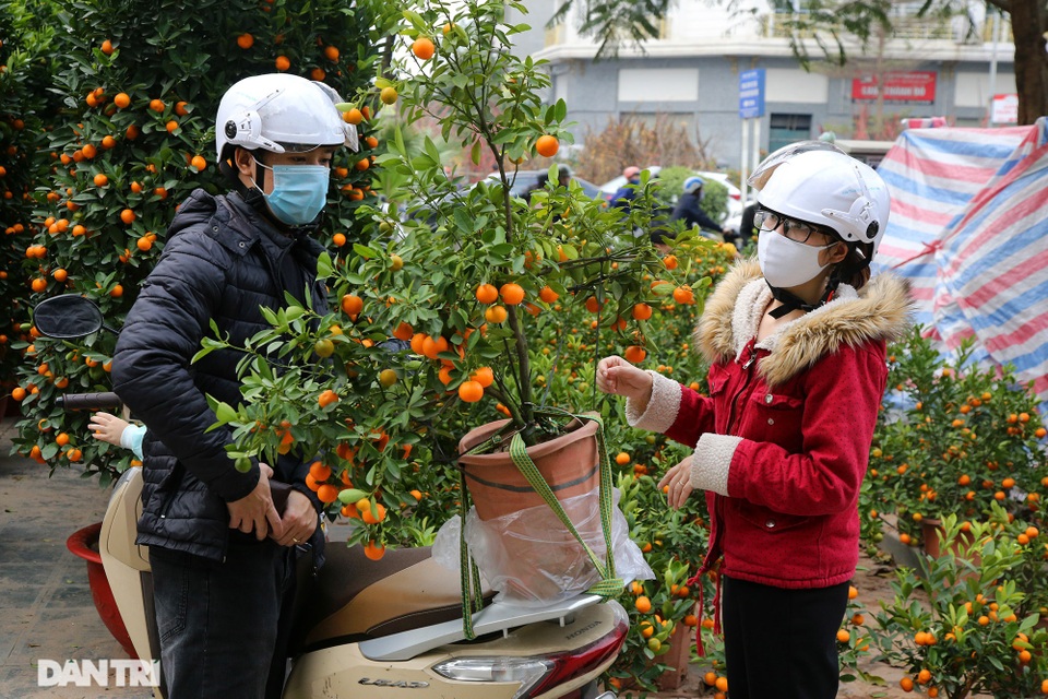 Ai trốn Tết mặc đi, tôi còn yêu Tết ! - 1 Ai trốn Tết mặc đi, tôi còn yêu Tết ! - 1