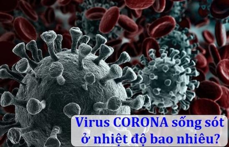Virus corona (Covid-19) sống sót trong nhiệt độ bao nhiêu? - 1 Virus corona (Covid-19) sống sót trong nhiệt độ bao nhiêu? - 1