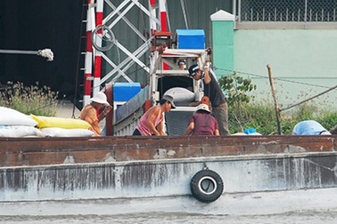 Đi trước 20 năm, sao gạo Việt thua Campuchia?