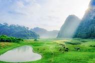 Miền thảo nguyên xanh đẹp tựa “tiên cảnh” cách Hà Nội chỉ hơn 100km