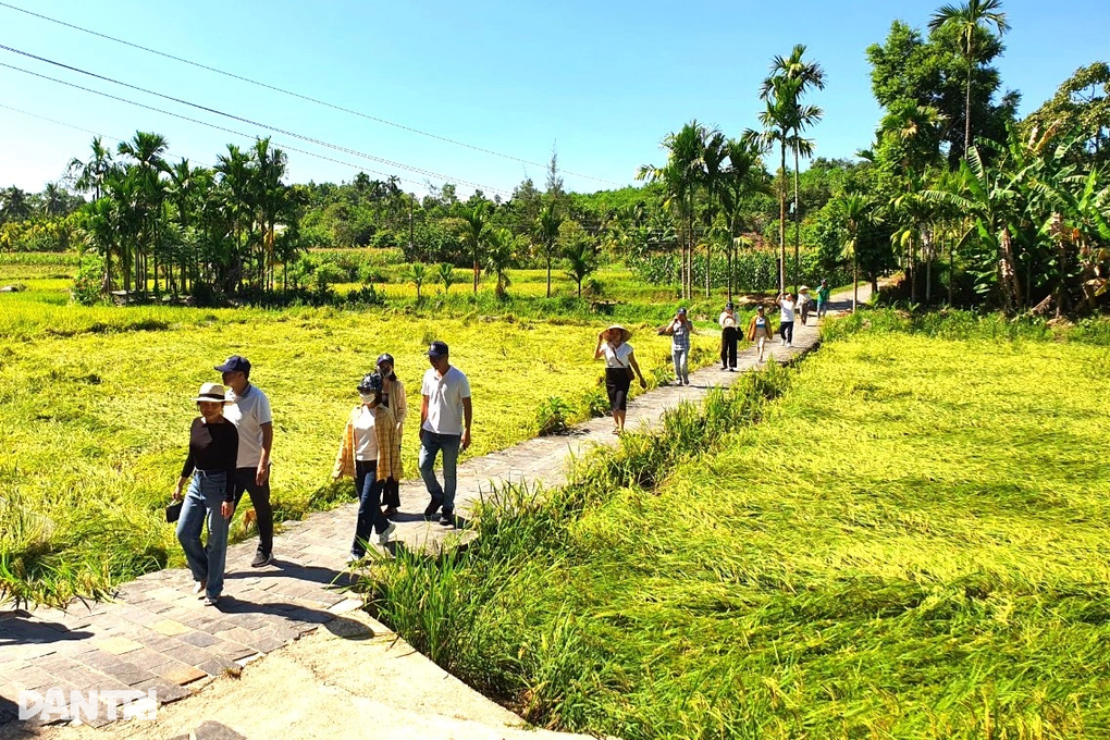 Quảng Nam hoàn thành chỉ tiêu chương trình mục tiêu quốc gia - 2 Quảng Nam hoàn thành chỉ tiêu chương trình mục tiêu quốc gia - 2