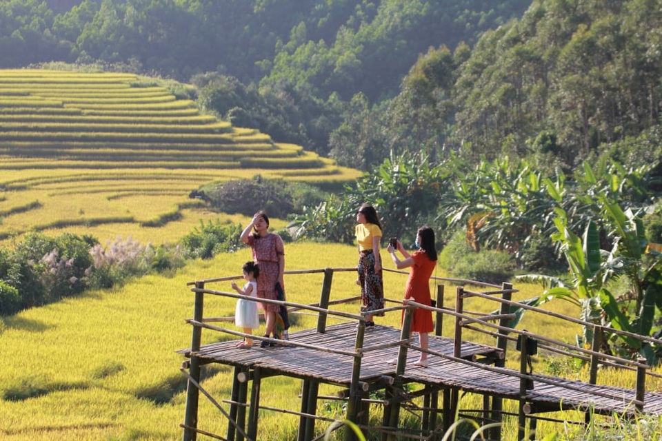 Về vùng cao Tiên Yên ở Quảng Ninh ngắm mùa vàng rực rỡ - 7 Về vùng cao Tiên Yên ở Quảng Ninh ngắm mùa vàng rực rỡ - 7