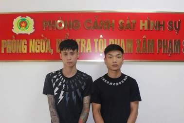 Hai thanh niên khai gây 7 vụ cướp giật trong 10 ngày ở Hải Phòng