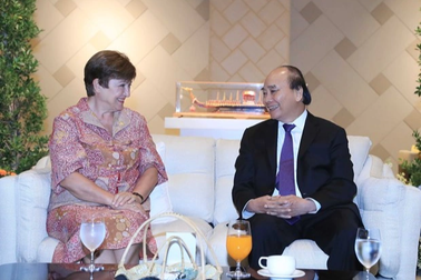 Chủ tịch nước tiếp quan chức Hong Kong và IMF bên lề APEC 2022