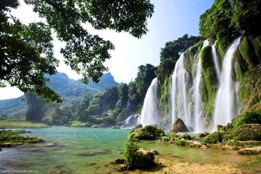 Vẻ đẹp kỳ vĩ của thác Bản Giốc giữa đại ngàn