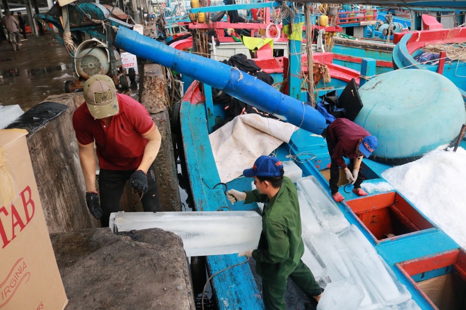Gần 100 tàu cá nhộn nhịp ra khơi đón Tết trên biển - 2 Gần 100 tàu cá nhộn nhịp ra khơi đón Tết trên biển - 2