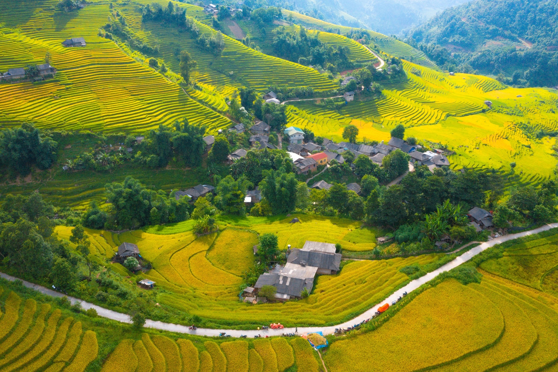 The picturesque golden terraced fields captivate visitors to Sapa - 5