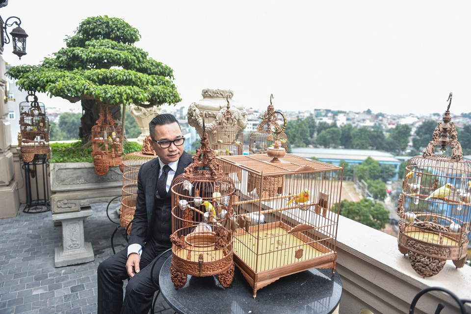 Săn lùng hoàng mào chơi Tết, đại gia thuê hẳn xe riêng đón chim quý về nhà - 6
