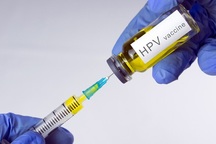 Virus HPV có thể gây ung thư tuyến tiền liệt