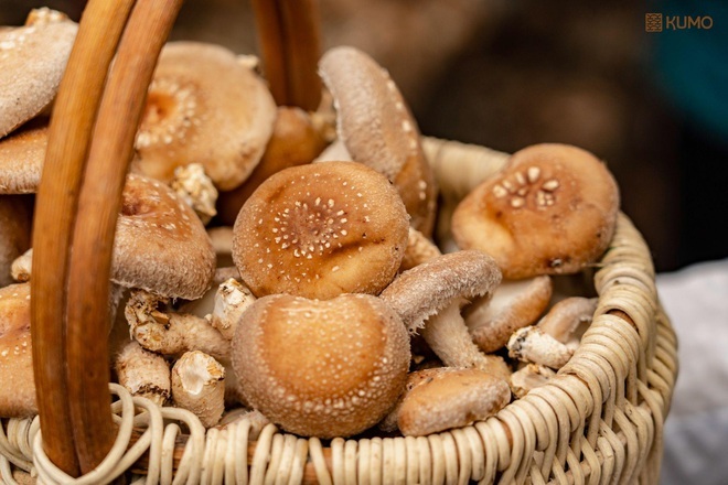 Những thực phẩm lành mạnh có thể thay thế tốt cho thịt - 4