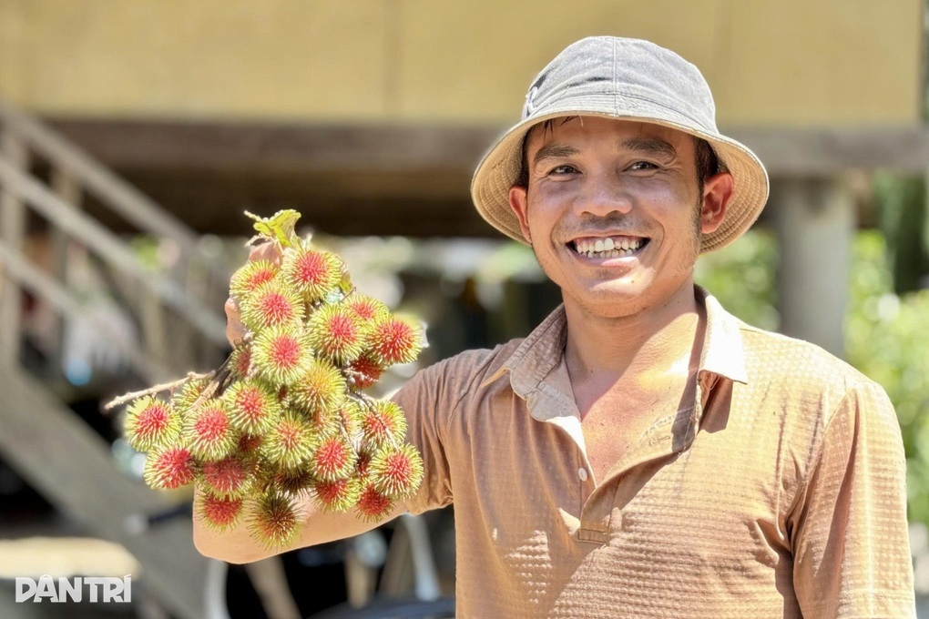 Kiếm đủ tiền mua sách vở cho con nhờ hái loại quả mọc hoang trên núi - 1 Kiếm đủ tiền mua sách vở cho con nhờ hái loại quả mọc hoang trên núi - 1