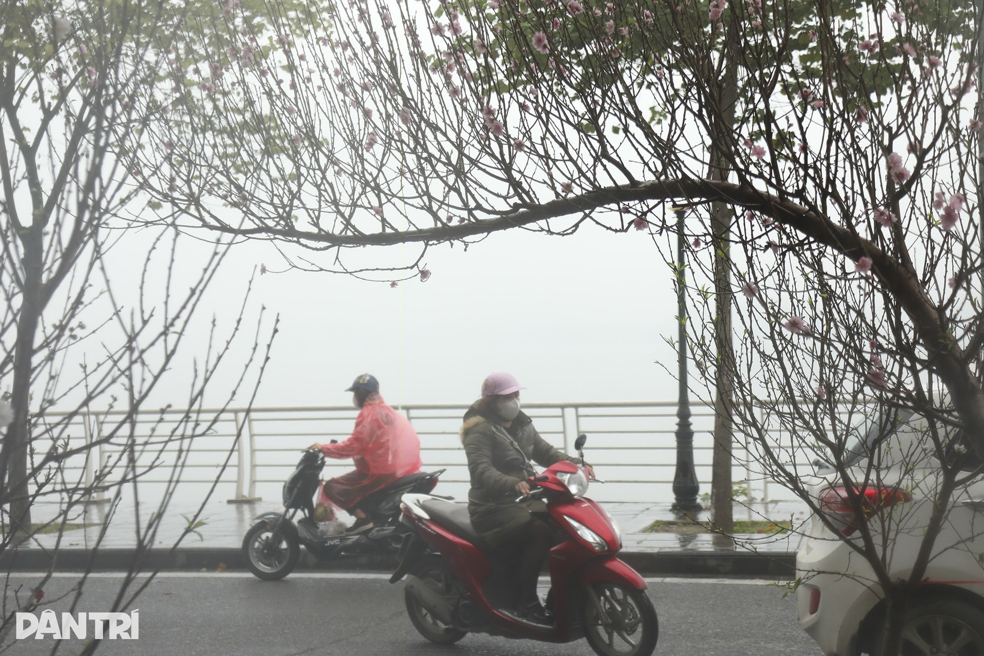 Sương mù trắng xóa bao phủ sông Hồng, hồ Tây, hồ Gươm - 11 Sương mù trắng xóa bao phủ sông Hồng, hồ Tây, hồ Gươm - 11