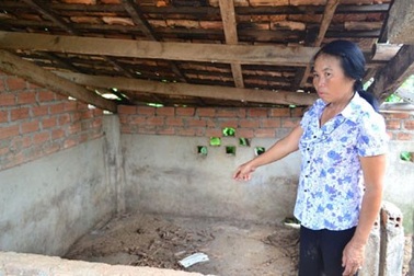 Kiện lên cấp tòa tối cao vì tranh chấp... con heo nái