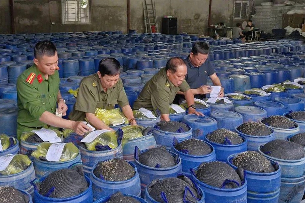 3.500 tấn giá đỗ ngâm nước kẹo được bán ra thị trường ở Nghệ An - 2 3.500 tấn giá đỗ ngâm nước kẹo được bán ra thị trường ở Nghệ An - 2
