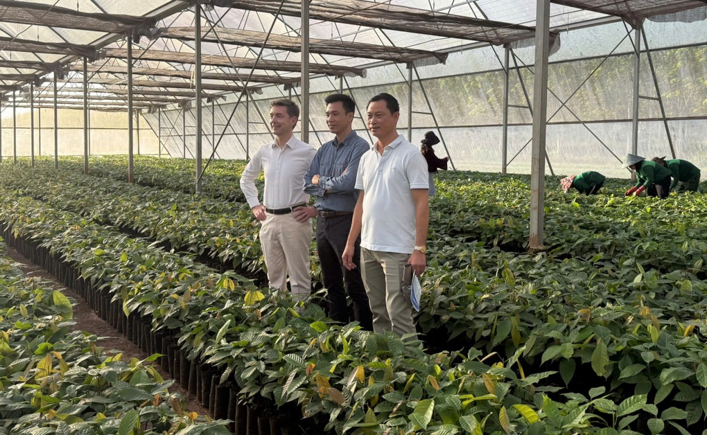 Đại sứ EU gặp gỡ nông dân Đắc Lak, thử ca cao tại vườn - 5 Đại sứ EU gặp gỡ nông dân Đắc Lak, thử ca cao tại vườn - 5