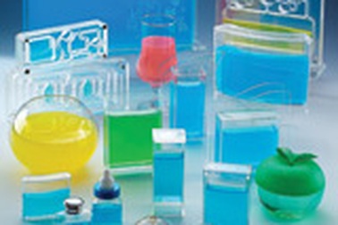 “Nuôi” kiến cảnh - Thú chơi mới