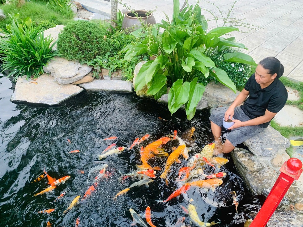 Trốn khói bụi, giám đốc ở Hà Nội về quê làm vườn 3.500m2 ngập hoa trái