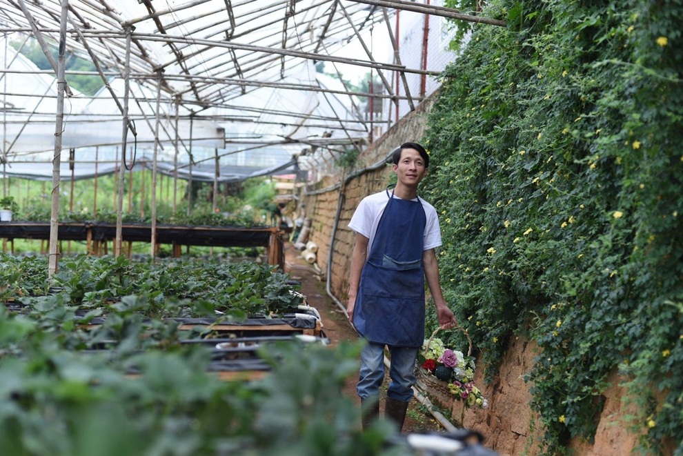 Nghỉ việc công chức, dốc tiền tích lũy làm trang trại như mơ ở Đà Lạt - 1 Nghỉ việc công chức, dốc tiền tích lũy làm trang trại như mơ ở Đà Lạt - 1