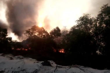 Lửa bốc cháy ngùn ngụt thiêu rụi rừng ven biển