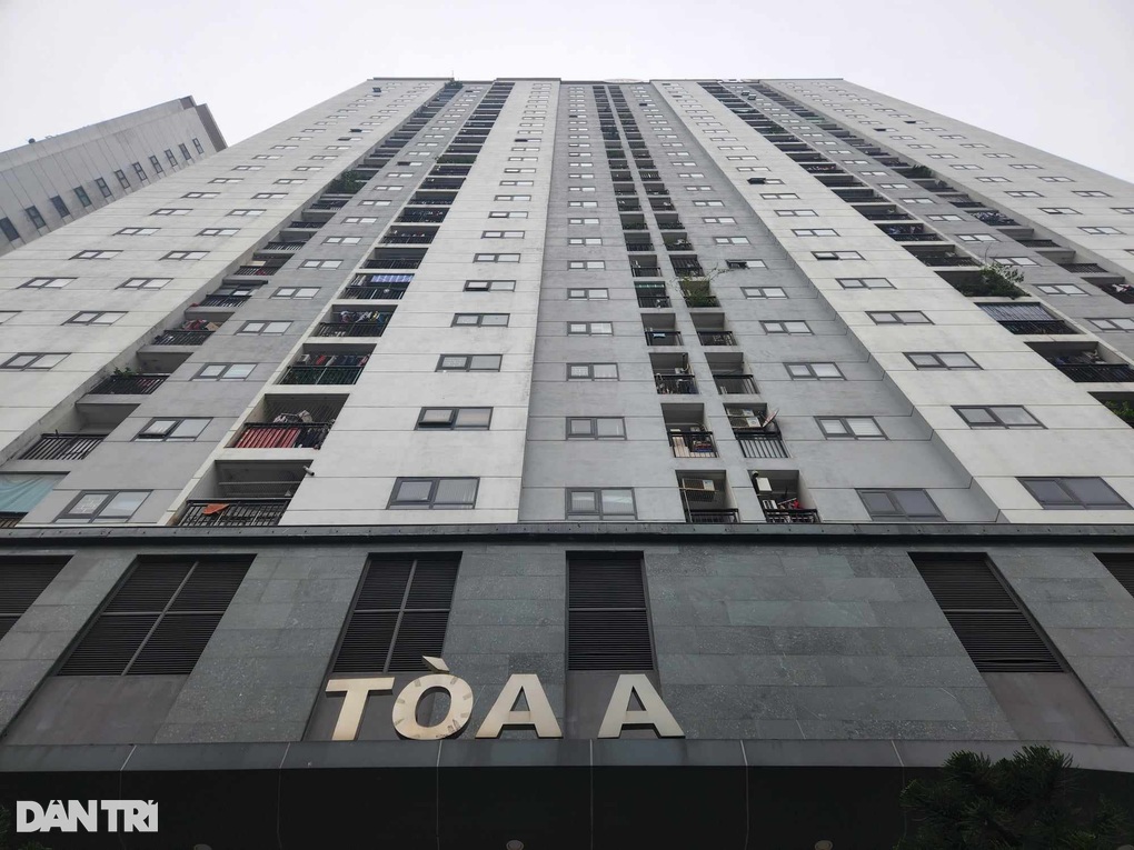 Môi giới đeo bám chủ căn hộ, trả giá cao hơn theo tuần - 2 Môi giới đeo bám chủ căn hộ, trả giá cao hơn theo tuần - 2