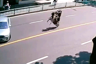 Đi xe tay ga - Đàn ông hay phụ nữ thuần thục hơn?