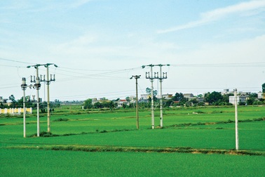 Chưa có giấy phép vẫn hoạt động kinh doanh bán lẻ điện