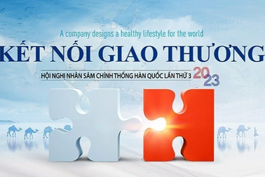 Cơ hội hợp tác với tập đoàn nhân sâm Daedong Korea Ginseng