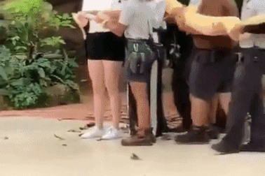 Du khách gào khóc, chạy mất dép khi thấy trăn khổng lồ