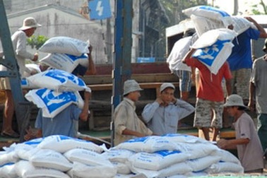 Giá gạo có thể lên mức 1.000 USD/tấn 