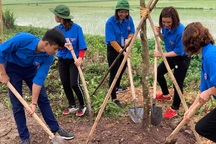 Thanh niên Thủ đô phát động Tết trồng cây và khởi động Tháng thanh niên năm 2019