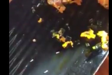 Vụ sụn gà có dòi: Phạt nhà hàng 4 triệu đồng