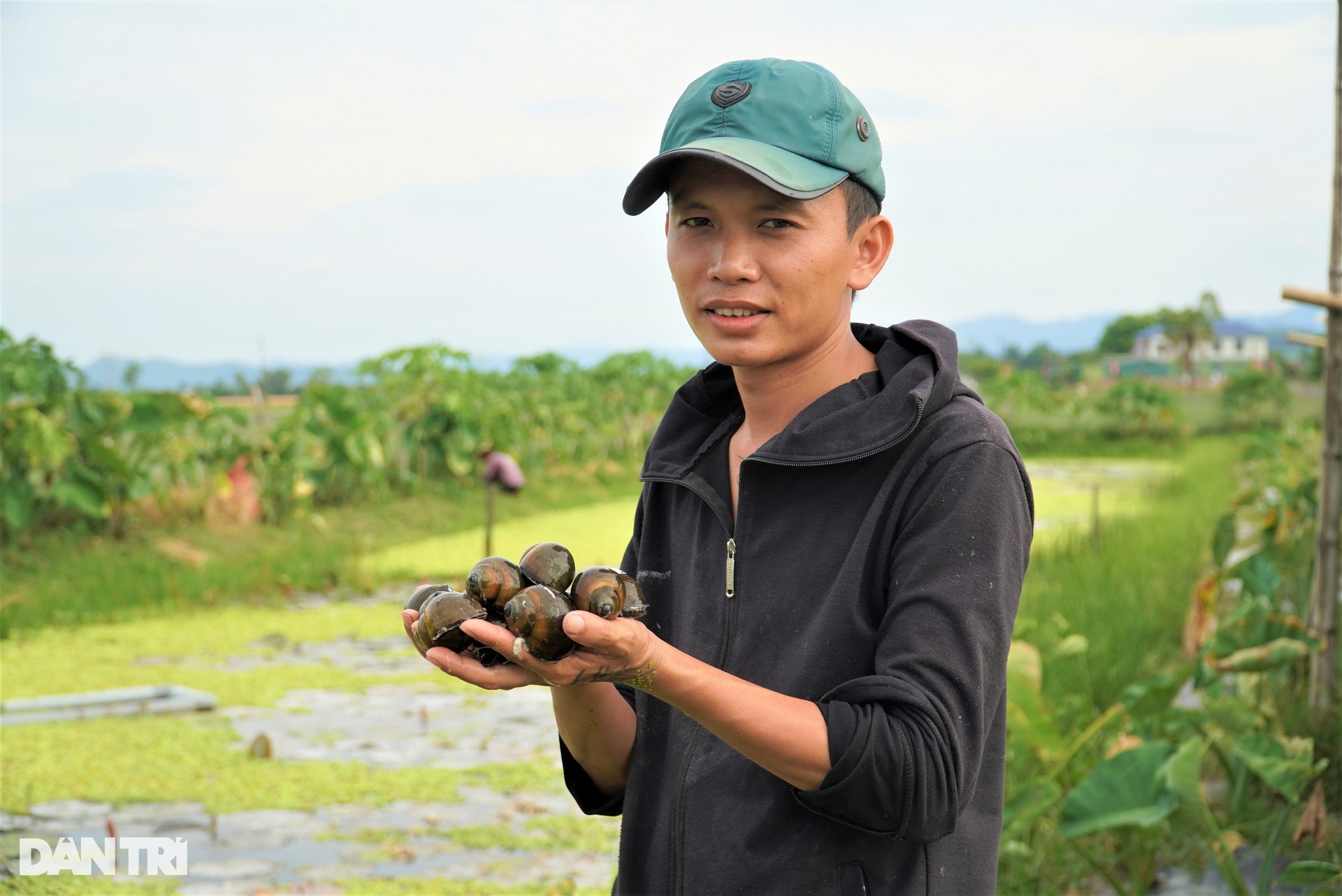 Nuôi con nhiều tháng ngủ không ăn, chàng trai trẻ chờ ngày đếm tiền - 2 Nuôi con nhiều tháng ngủ không ăn, chàng trai trẻ chờ ngày đếm tiền - 2