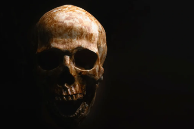 Tìm thấy loài người "ma" ở Tây Phi