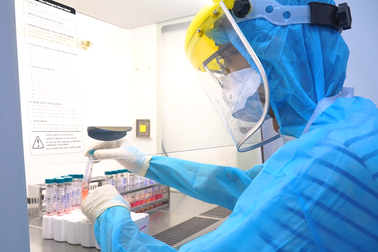 Việt Nam phát hiện biến thể SARS-CoV-2 của Nam Phi