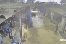 Người Hà Nội hoảng hốt vì động đất: Chóng mặt lảo đảo, mái nhà rung bần bật