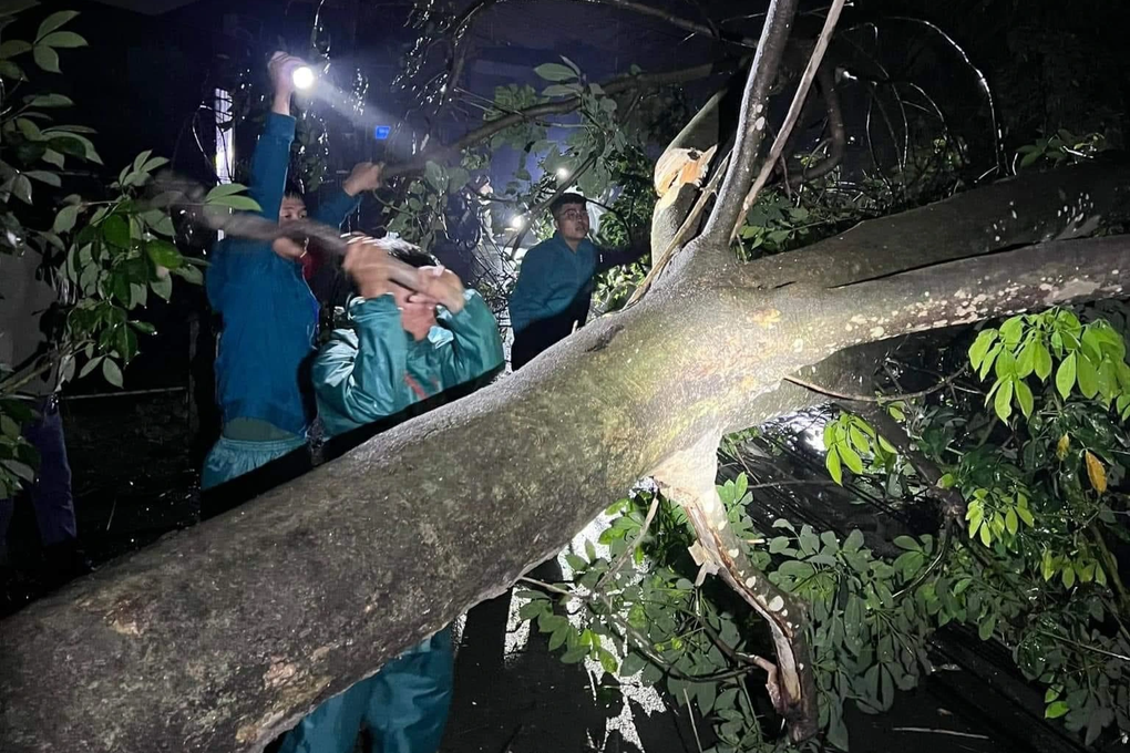 Cây đổ, trụ điện gãy đôi trong cơn mưa dông ở Bình Dương - 2 Cây đổ, trụ điện gãy đôi trong cơn mưa dông ở Bình Dương - 2