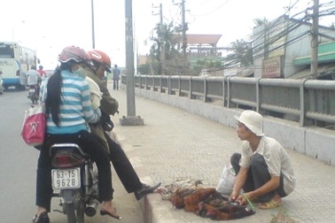 TPHCM: Thương lái bán gà "chui", dân thờ ơ với dịch cúm H5N1 