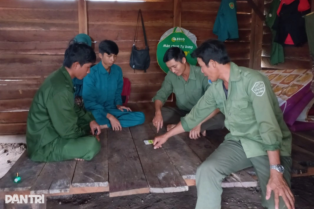 Nhân viên nghỉ việc gần 50%, chủ rừng gồng mình chờ... biên chế - 4 Nhân viên nghỉ việc gần 50%, chủ rừng gồng mình chờ... biên chế - 4